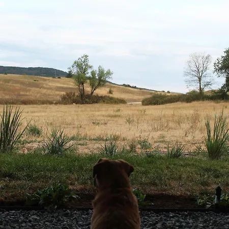 Apartament Jelenret *